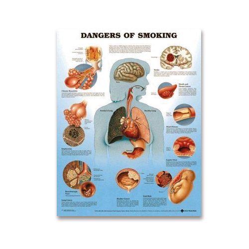 Effects Of Smoking Chart